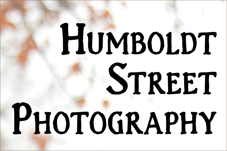 Humboldt Street - Website